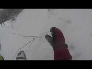 2022/2/19  瑞穂ハイランド チェスナットコース