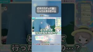 【Sky】初めてのチェス盤に行ったときの思い出 #Shorts #切り抜き