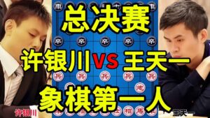 许银川vs王天一 温岭杯总决赛 弃子如飞 各显神通 剧情反转【四郎讲棋】