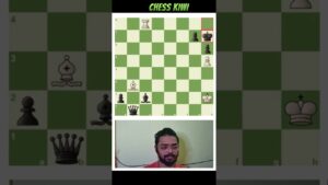 23 VACCUM CLEANER BISHOP CHESS KIWI