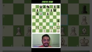 31 SAC EVERYTHING IF IT IS A MATE CHESS KIWI