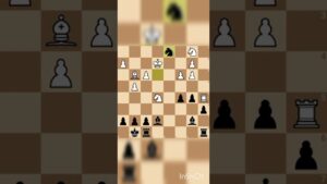 Chess Shorts
