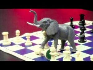 The Elephant Trap in Chess