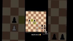 The Staircase Mate 🤯🤔 #chess #shorts