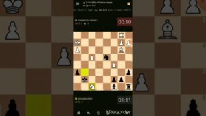 #chess #шахматы