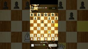 chess game. check mate in 10 sec.