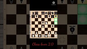 only 5 step checkmate in the king #chess trick  #shorts video #chess shorts