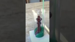 the chocolate chess board cake very tasty #shorts #foodie #mindblowing #handmade