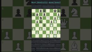 A Spectacular Chess Puzzle!