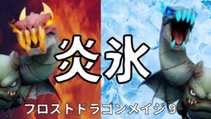 【AutoChess / オートチェス】どうしてもやってみたかった！フロストドラゴンメイジ９！