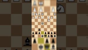 Chess Shorts