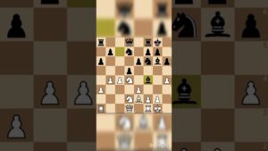 Chess Shorts