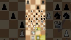 Chess Shorts