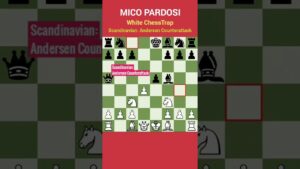 Chess Trap for Beginner | Scandinavian: Andersen Counterattack #Shorts #ChessTrap #JebakanCatur