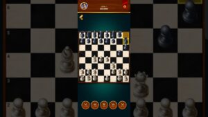 Chess beginner level