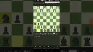Counter-attack with black chess piece | Chess