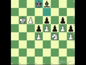 KNIGHT DOMINATING BISHOP | CHESS | TriKeefy