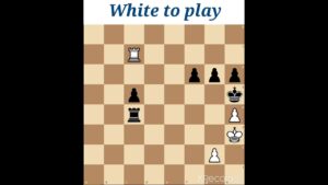 The devoted soldier ( Chess puzzle )