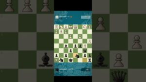 Unbelievable Double Checkmate – Chess Tricks 🔥🔥 #chess #noddychess #chesstactics #chess24
