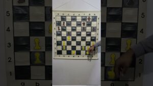 What is a Absolute Pin in Chess?