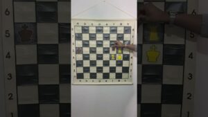 What is a Partial Pin in Chess?