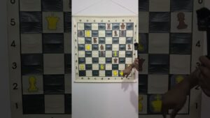 Why is it Important to Control the Center in Chess?