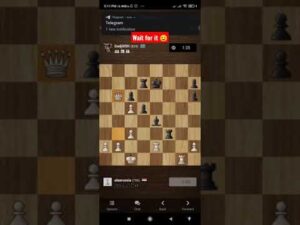 checkmate with 2 rooks 😁 nice chess game