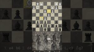 random /chess/video ♟️