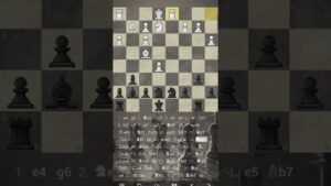 random/chess/video