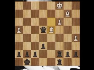 welcome Hogwarts Chess #xadrez #chess #capybara #shorts #capivara #harrypotter