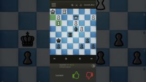 what a amazing chess move it was