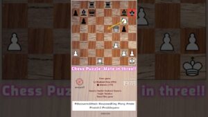 Black Pawn on f5 had no chance! – battle chess game of kings gameplay
