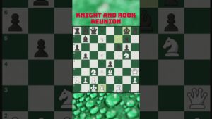 Knight and Rook Reunion #shorts #chess