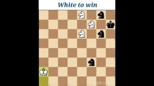 Knights Arena ( Chess Puzzle )