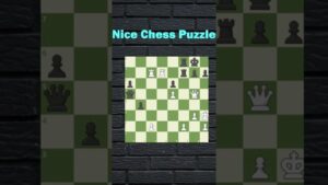 Nice Chess Puzzle