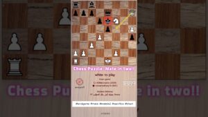 Pawn to d5 and check! how to use stockfish chess engine