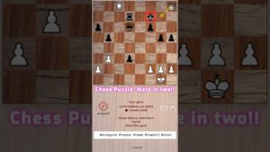 Queen Qh to 8+ with check! – american chess