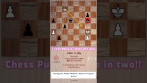 Queen threats Pawn on a5! levy rozman chess