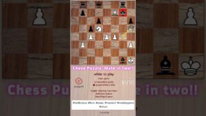 Queen to g6 and check! chess network