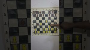 What is the Polish Opening in Chess?