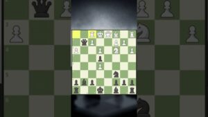 Who is Better?😜 | Chess Wide