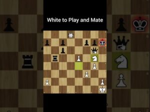 Best Checkmate on Black’s King | Mating Patterns in Chess #shorts #chess