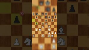 Chess Shorts