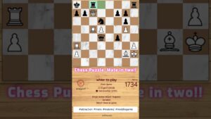 Rook c5 to a5 with check! gingergm chess