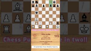 Rook e1 to e8 with check! firouzja chess