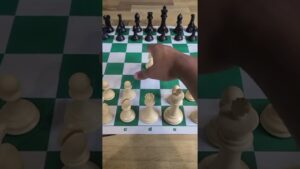 Understanding The First Move of Chess Openings