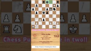 chess endgame