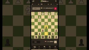 #شطرنج #chess #عالميه#international