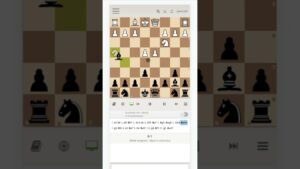Chess: So many mistakes this shouldn’t be on the internet!