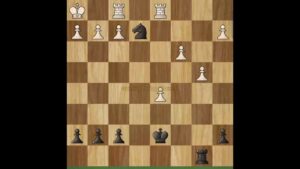 One knight controlled the board #chesscom #magnuscarlsen #chess #gothamchess